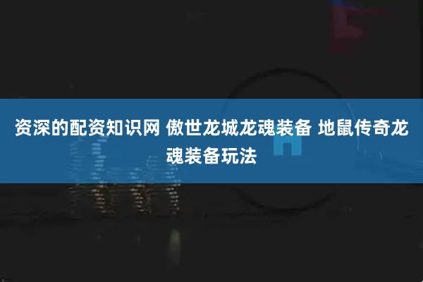 资深的配资知识网 傲世龙城龙魂装备 地鼠传奇龙魂装备玩法